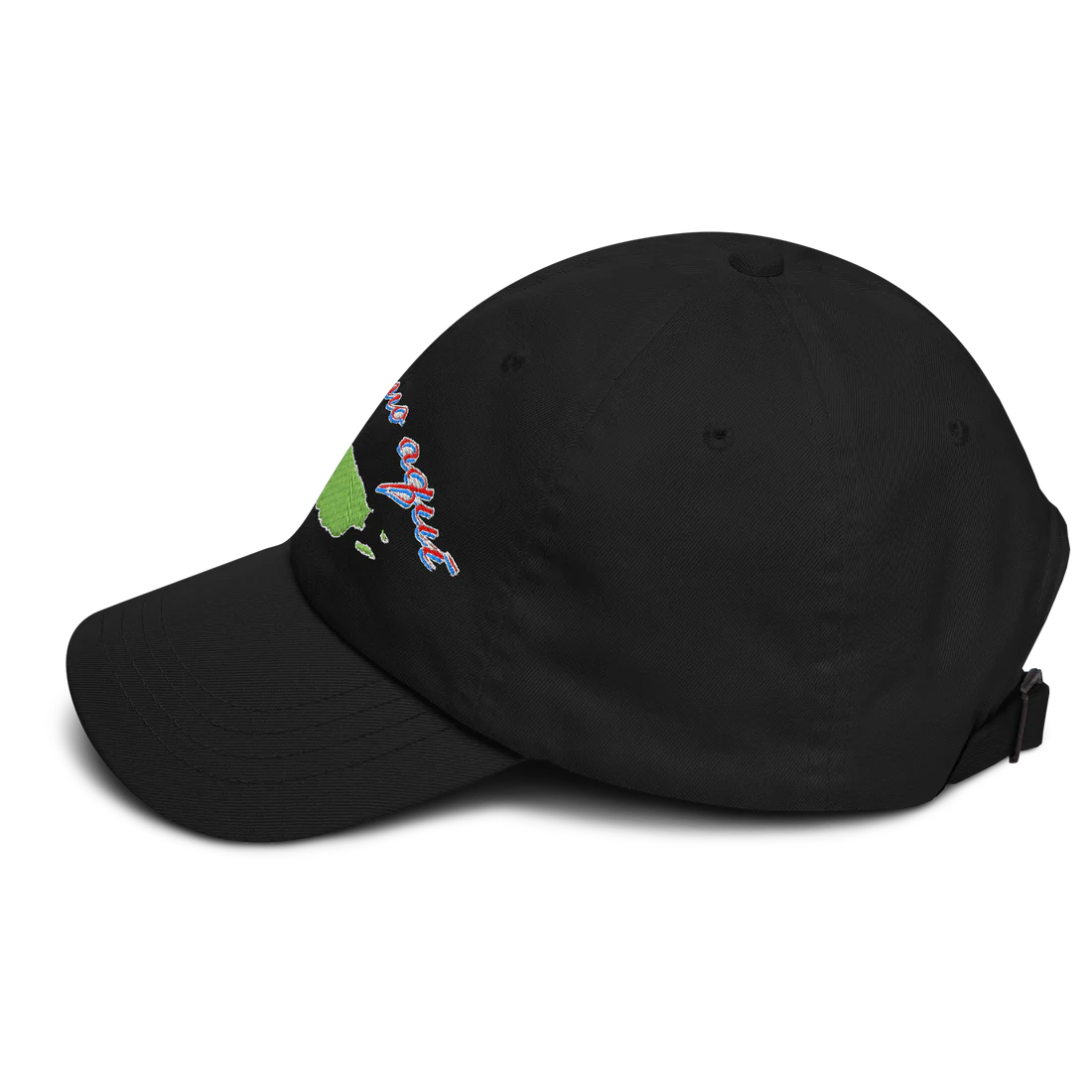 Seguimo Aquí Classic Dad Hat
