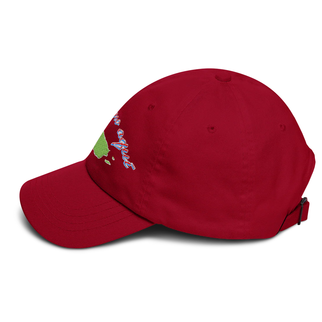 Seguimo Aquí Classic Dad Hat