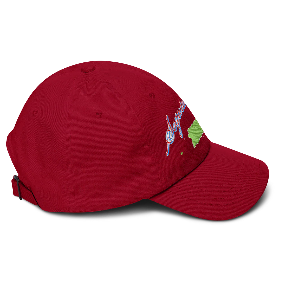 Seguimo Aquí Classic Dad Hat