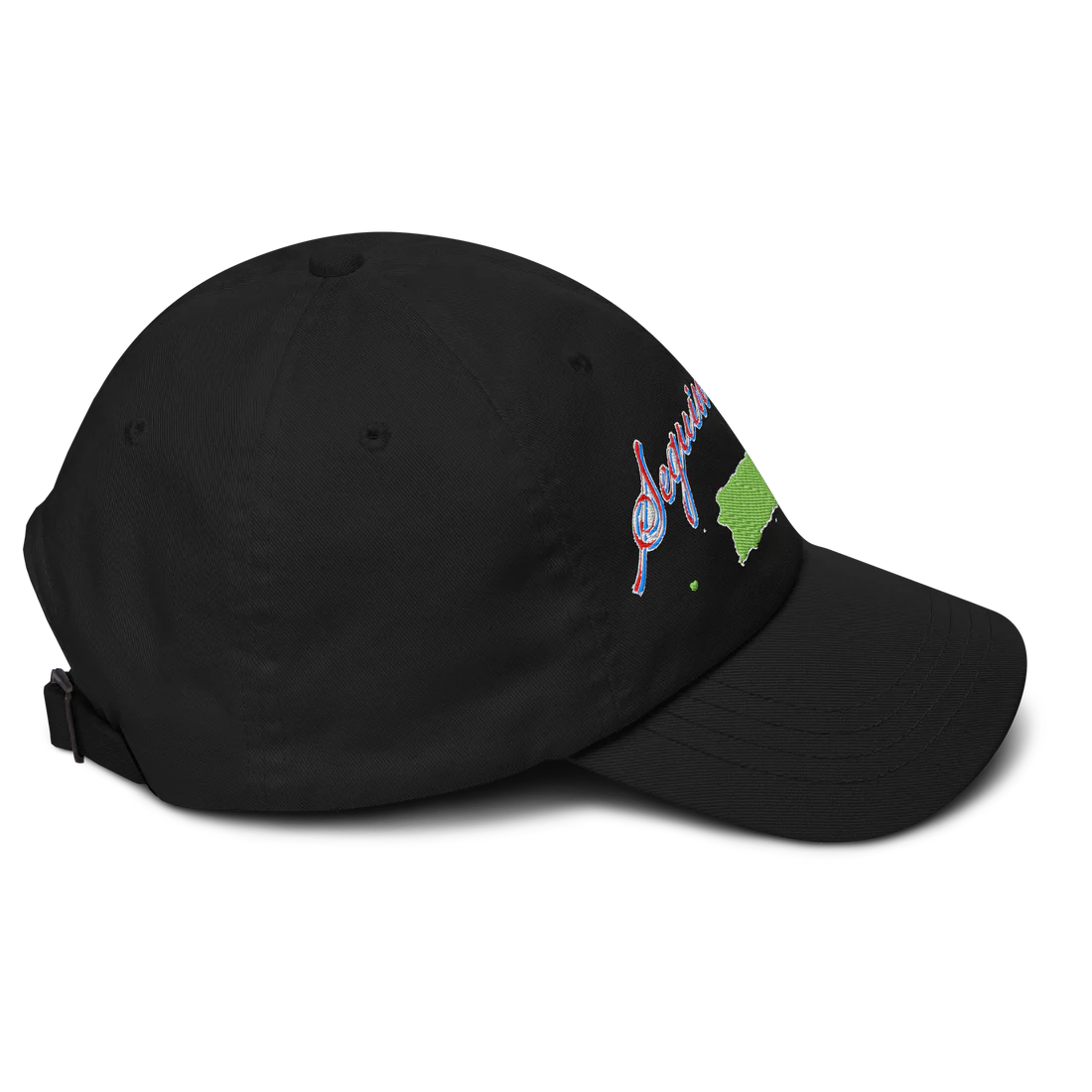 Seguimo Aquí Classic Dad Hat